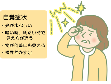 白内障の自覚症状
・光がまぶしい
・暗いとき、明るいときで見え方が違う
・物が何重にも見える
・視界がかすむ