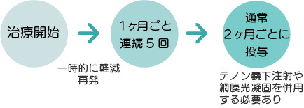 抗VEGF薬療法の流れ