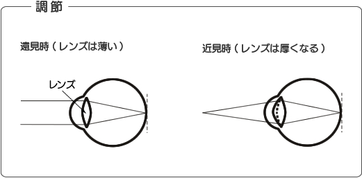 図：調節